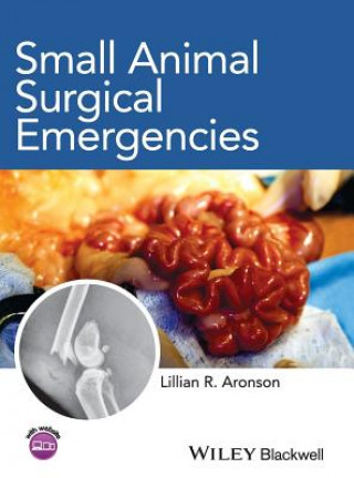 Könyv Small Animal Surgical Emergencies Aronson Lillian R.