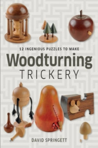 Könyv Woodturning Trickery David Springett