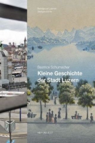 Kniha Kleine Geschichte der Stadt Luzern Beatrice Schumacher