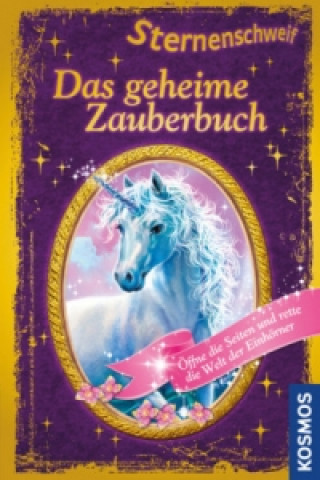 Buch Sternenschweif, Das geheime Zauberbuch Linda Chapman