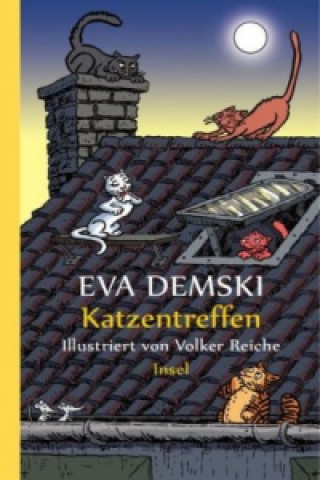 Kniha Katzentreffen Eva Demski