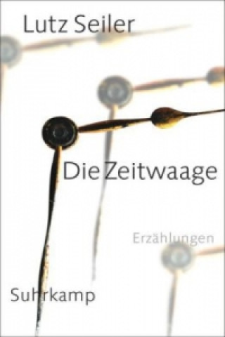 Buch Die Zeitwaage Lutz Seiler