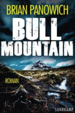 Livre Bull Mountain Brian Panowich