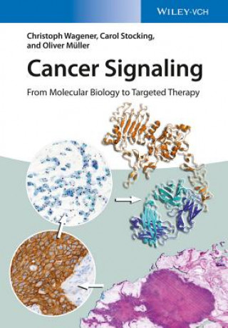 Kniha Cancer Signaling - From Molecular Biology to Targeted Therapy Christoph Wagener