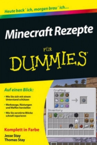 Kniha Minecraft Rezepte fur Dummies Jesse Stay