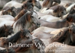 Naptár/Határidőnapló Dülmener Wildpferde - Gefährdete Nutztierrasse (Wandkalender immerwährend DIN A2 quer) Barbara Mielewczyk