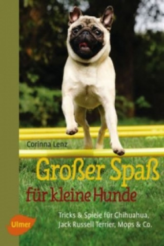 Kniha Großer Spaß für kleine Hunde Corinna Lenz