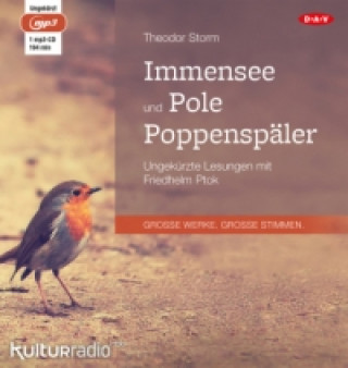 Audio Immensee und Pole Poppenspäler, 1 Audio-CD, 1 MP3 Theodor Storm