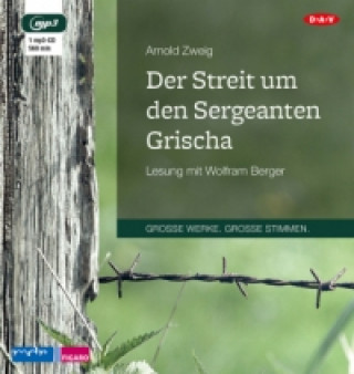 Audio Der Streit um den Sergeanten Grischa, 1 Audio-CD, 1 MP3 Arnold Zweig