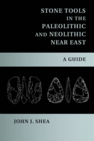 Kniha Stone Tools in the Paleolithic and Neolithic Near East John J. Shea