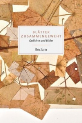 Buch Blätter zusammengeweht Ulrichadolf Namislow