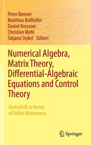 Könyv Numerical Algebra, Matrix Theory, Differential-Algebraic Equations and Control Theory Peter Benner