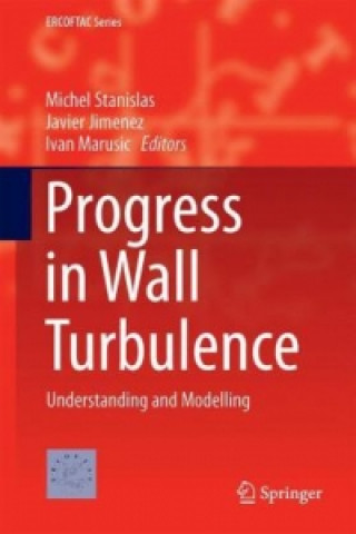 Buch Progress in Wall Turbulence 2 Michel Stanislas