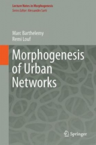 Könyv Morphogenesis of Spatial Networks Marc Barthelemy