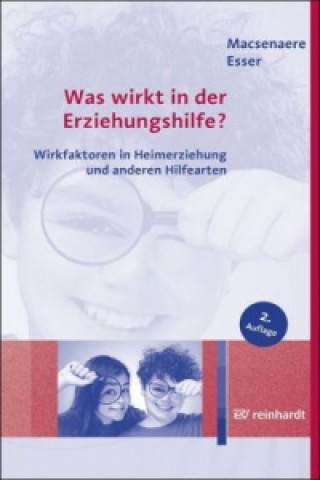 Könyv Was wirkt in der Erziehungshilfe? Michael Macsenaere