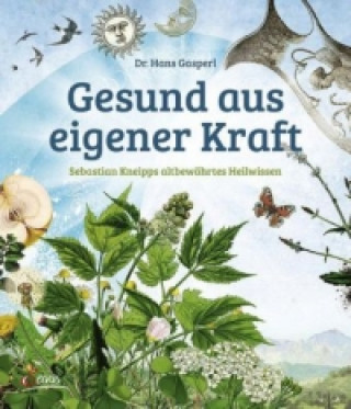 Книга Gesund aus eigener Kraft Hans Gasperl