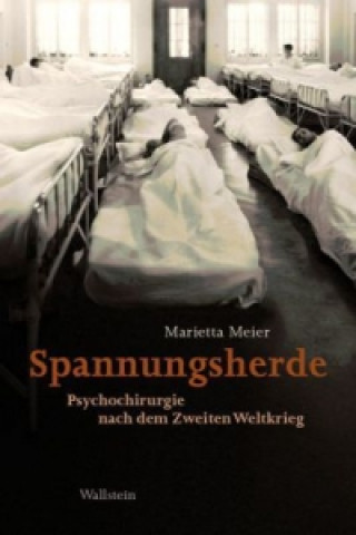 Boek Spannungsherde Marietta Meier