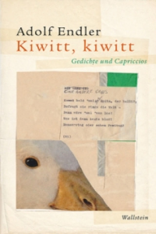 Libro Kiwitt, kiwitt Adolf Endler