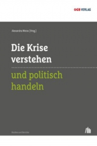 Knjiga Die Krise verstehen und politisch handeln Alexandra Weiss