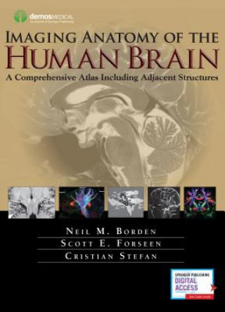 Könyv Imaging Anatomy of the Human Brain Neil M Borden