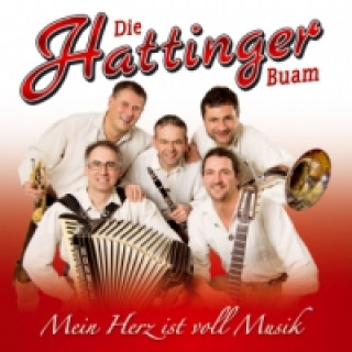 Audio Mein Herz ist voll Musik, 1 Audio-CD Die Hattinger Buam