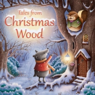 Kniha Tales from Christmas Wood Suzy Senior