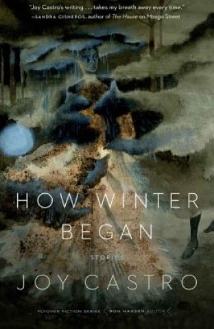 Kniha How Winter Began Joy Castro