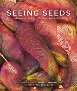 Carte Seeing Seeds Teri Dunn Chace