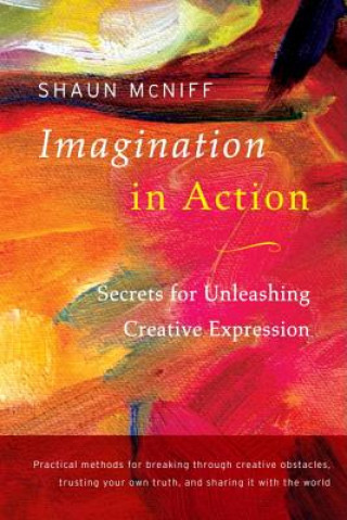 Книга Imagination in Action Shaun McNiff