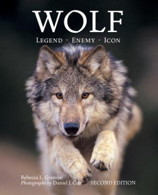 Kniha Wolf: Legend, Enemy, Icon Rebecca Grambo