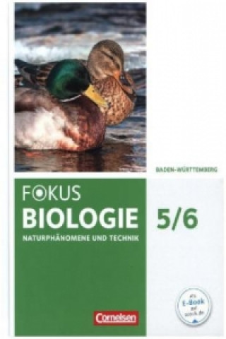 Buch Fokus Biologie - Neubearbeitung - Baden-Württemberg - 5./6. Schuljahr: Biologie, Naturphänomene und Technik Julia Budde