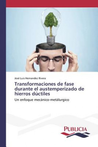 Libro Transformaciones de fase durante el austemperizado de hierros ductiles Hernandez Rivera Jose Luis