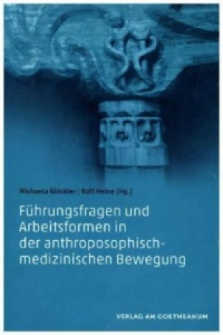 Book Führungsfragen und Arbeitsformen in der anthroposophisch-medizinischen Bewegung Michaela Glöckler