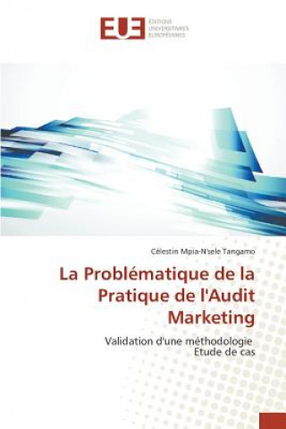 Könyv Problematique de la Pratique de l'Audit Marketing Tangamo-C