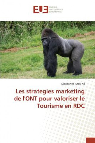 Carte Les Strategies Marketing de l'Ont Pour Valoriser Le Tourisme En Rdc Ali-D
