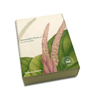 Kniha Remarkable Plants: Box of 20 Notecards Kew Royal Botanic Gardens