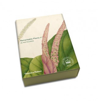 Knjiga Remarkable Plants: Box of 20 Notecards Kew Royal Botanic Gardens