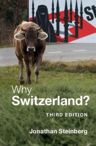 Kniha Why Switzerland? Jonathan Steinberg