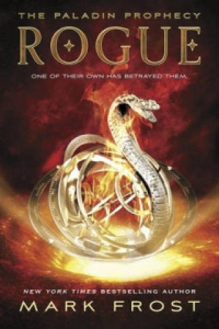 Könyv Paladin Prophecy: Rogue Mark Frost