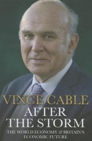 Buch After the Storm Vince (Author) Cable