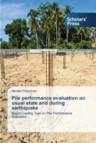 Könyv Pile performance evaluation on usual state and during earthquake Shkodrani Neritan