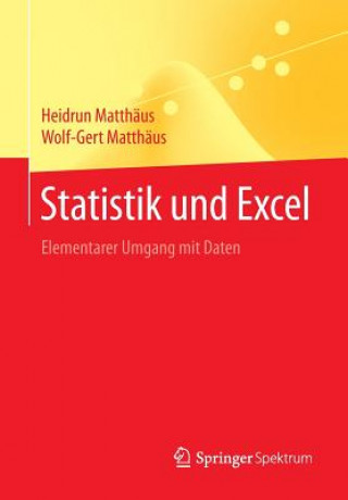 Könyv Statistik Und Excel Heidrun Matthäus