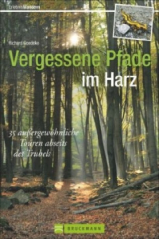 Kniha Vergessene Pfade im Harz Richard Goedeke