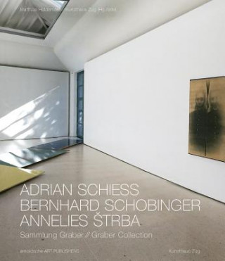 Buch Adrian Schiess - Bernhard Schobinger - Annelies Strba Matthias Haldemann