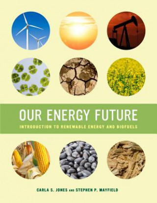 Libro Our Energy Future Stephen P. Mayfield