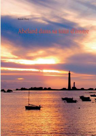 Buch Abelard dans sa tour d'ivoire Benoit Blary