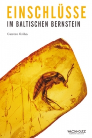 Kniha Einschlüsse im baltischen Bernstein Carsten Gröhn