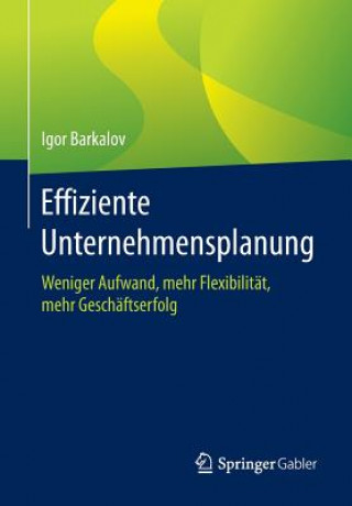 Kniha Effiziente Unternehmensplanung Igor Barkalov