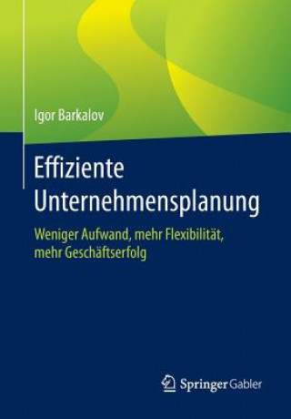 Książka Effiziente Unternehmensplanung Igor Barkalov