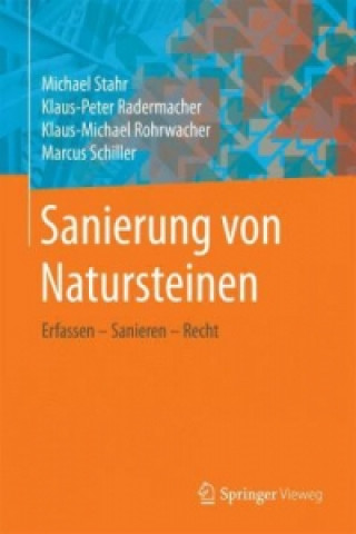 Książka Sanierung von Natursteinen Klaus-Peter Radermacher